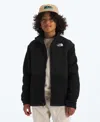 The North Face Big Boys Denali Warm Fleece Jacket In Black