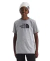 The North Face Big Boys Evolution Half Dome Short Sleeve T-shirt In Gray