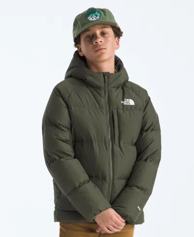 The North Face Kids' Big Boys North Down Hooded Jacket In Green