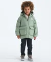 The North Face Big Boys Reversible Perrito Water-repellent Jacket In Green