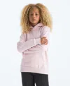 The North Face Big Girls Evolution Box Pull On Hoodie In Pink