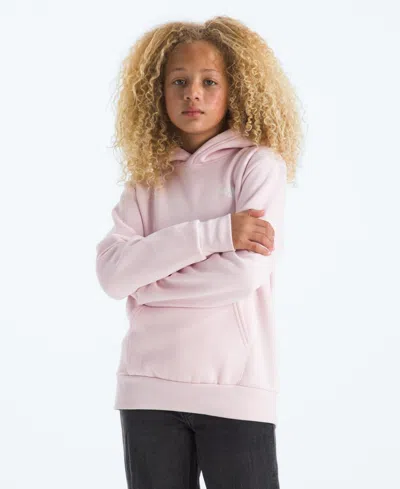 The North Face Kids' Big Girls Evolution Box Pull On Hoodie In Pink