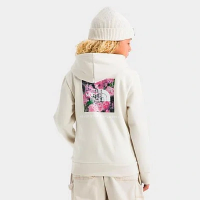 The North Face Big Kids Evolution Box Nse Graphic Pullover Hoodie In Neutral