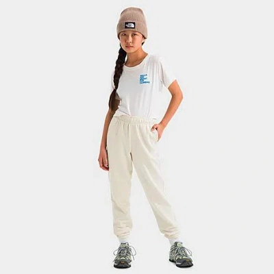 The North Face Big Kids Evolution Simple Dome Sweatpants In Neutral