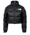 The North Face Black Padded Cropped Jacket In Black