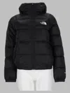 The North Face Thermal-insulated Channel Quilted Hooded Puffer Jacket In Multi