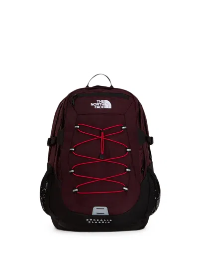 The North Face Borealis Classic Backpack In Brown
