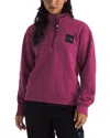 The North Face Box Half Dome Quarter Zip Top In Cyber Berry
