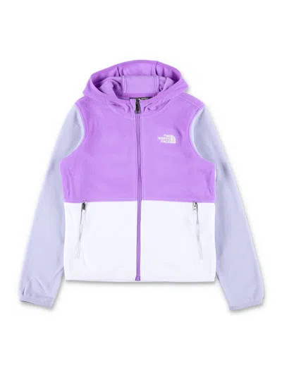 The North Face Kids'  Boy's Glacier Fleece Hoodie With Zip Pockets In Purple