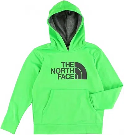 The North Face Kids' Boy's Logo Surgent Pullover Hoodie In Krypton Green