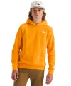 The North Face Boys 6-20 Evolution Simple Dome Pull-on Hoodie In Orange