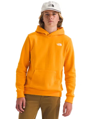 The North Face Kids' Boys 6-20 Evolution Simple Dome Pull-on Hoodie In Orange