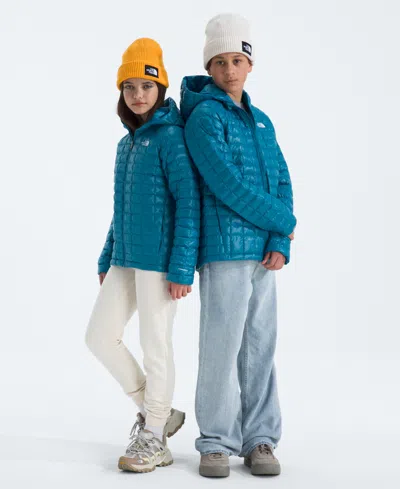 The North Face Kids' Boys And Girls 8-20 Raglan-sleeve Hooded Jacket In Blue