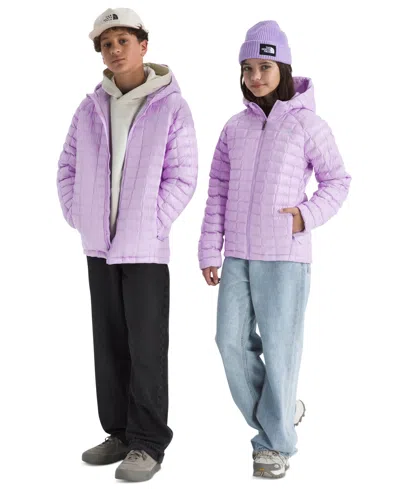 The North Face Kids' Boys And Girls Xs-xxl Hooded Zip-up Jacket In Purple