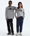 The North Face Boys Or Girls 6-20 Evolution Half Dome Long-sleeve T-shirt In Gray