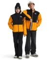 The North Face Boys Or Girls 6-20 Long-sleeve Jacket In Black