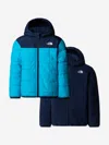 The North Face Boys Reversible Shasta Hooded Jacket In Blue