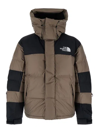 The North Face Brown Down Jacket With Removable Drawstring Hood And Logo Lettering And Front And Rear In Tech Fabri