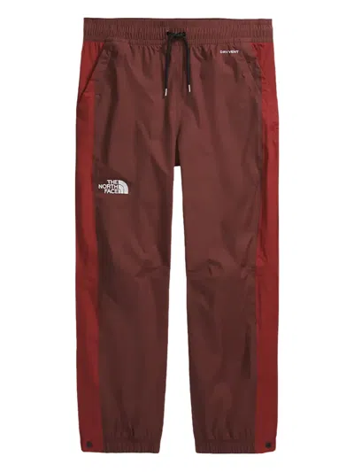 The North Face Build Up Ski Pants In Animal Print
