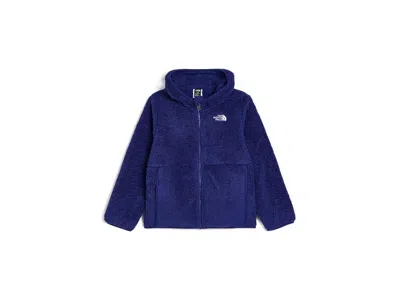 The North Face Campshire Full Zip Hoodie (toddler) Kid's Coat Bold Blue: 3t Toddler, Fleece/polyester