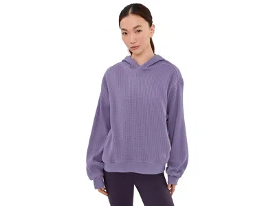 The North Face Chabot 2.0 Hoodie Women's Sweatshirt Grounded Plum: Sm, Cotton In Purple