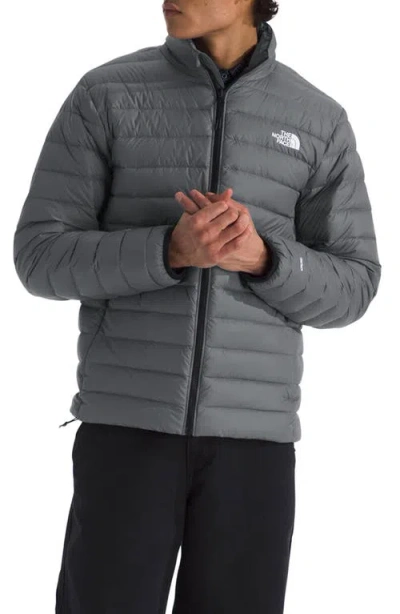 The North Face Classic 700 Fill Power Down Jacket In Animal Print