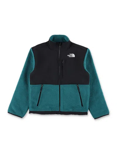 The North Face Kids Denali Jacket In Green