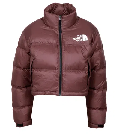 The North Face Coats In Brown
