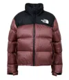 The North Face Coats In Brown