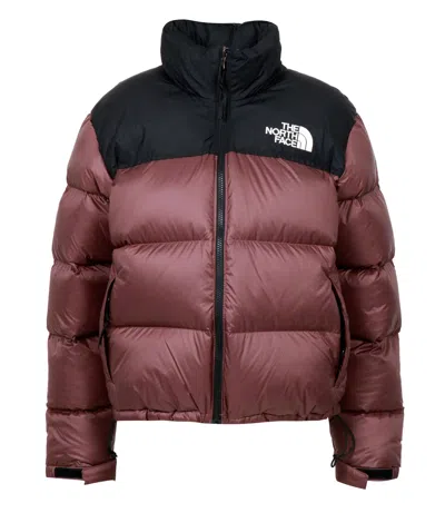 The North Face Coats In Burgundy