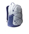 The North Face Court Jester Backpack In Gray