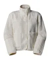 The North Face Cragmont Casual Jacket In Gray