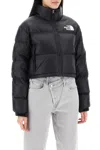 The North Face Nuptse Water Repellent 700 Fill Power Down Short Puffer Jacket In Multi