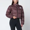The North Face Cropped Padded Jacket Tawny Quartz In Brown