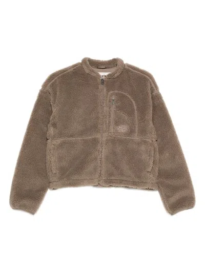The North Face Cropped Teddy Fleece Sweater In Brown