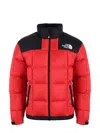 The North Face Down Jacket In Nylon