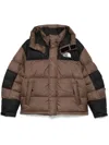 The North Face Himalayan Baltoro Jacket In Brown
