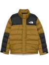 The North Face Limbara Jacket In Green
