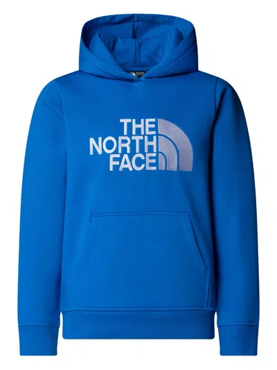 The North Face Kids' Drew Hoodie In Blue