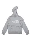 The North Face Drew Peak Hoodie In Gray