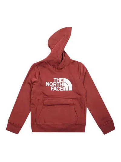 The North Face Kids' Drew Peak Hoodie In Red