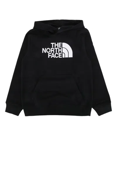 The North Face Drew Peak Unisex Hoodie (essential) In Black