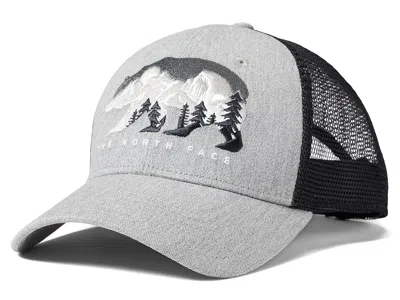 The North Face Embroidered Mudder Trucker Caps Light Grey Heather/bear Graphic: One Size In Gray