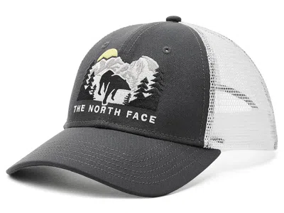 The North Face Embroidered Mudder Trucker Caps Tnf White/asphalt Grey/bear Graphic: One Size In Black