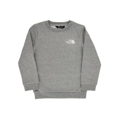 The North Face Evolution Box Nse Crewneck Sweatshirt - Kids In Gray