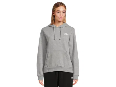 The North Face Evolution Box Nse Hoodie In Gray