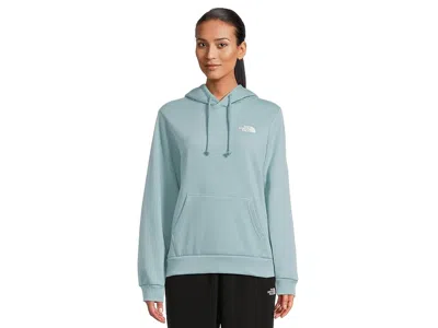 The North Face Evolution Box Nse Hoodie In Blue