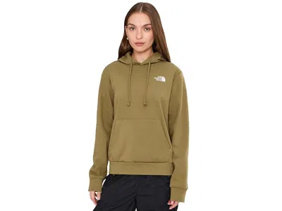 The North Face Evolution Box Nse Hoodie In Green