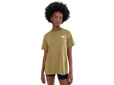 The North Face Evolution Box Nse Short Sleeve T-shirts In Brown
