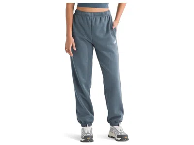 The North Face Evolution Embroidered Pants In Blue